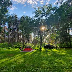 White Pine Meadow