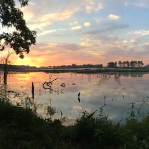 Sunrise over the wetlands