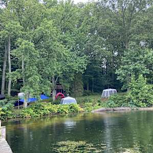 Riverside Camp Chicamuxen Creek