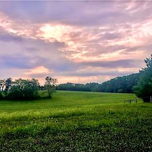 Views of woods, pond, and sunrise