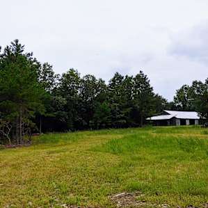 Abbot Sawmill