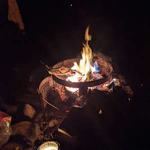 Pine Forrest Glamping Tent