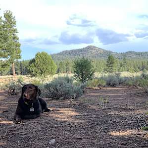 Holcomb Valley Ranch Campground