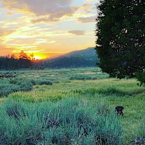 Holcomb Valley Ranch Campground