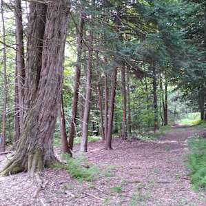 Two mile trail around property.