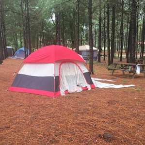 Tiny Home Camping Conex
