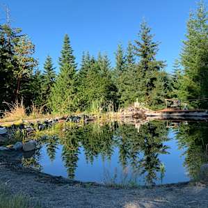her natural pool is so serene and filled with lots of critters! Beautiful addition to the Mountain’s eco-system
