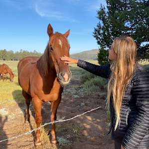 Holcomb Valley Ranch Campground