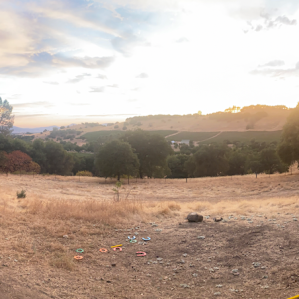 Great view of the vineyards and hills.