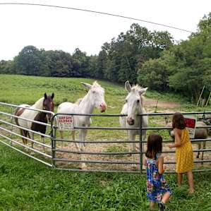 The Yurt at Creek Bend Farm