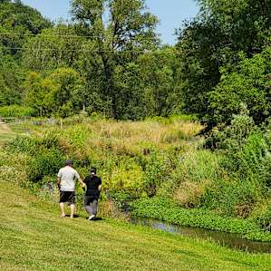 Walk along big trout creek.