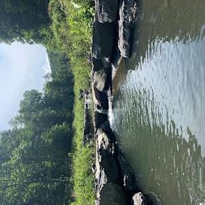 Creekside RV & Tent Campsite