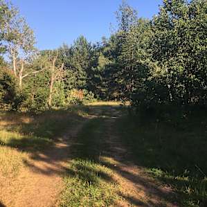Path to get to the site
