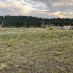 View from on the land looking South. Notice the white shed and road going up the hill. Use these as indicator you are in the right place.
