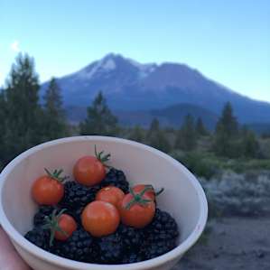 Mt. Shasta Desert View