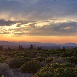 Mt. Shasta Desert View