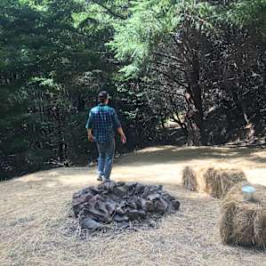 Surveying the camp
