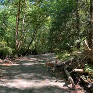 creek bed hike