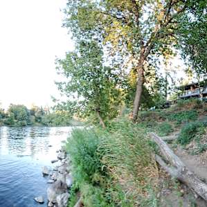 Rogue Retreat 3 beds/riverfront #5
