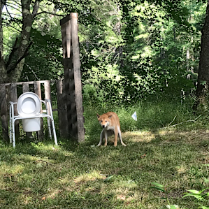 Private spot on Salmon Falls River