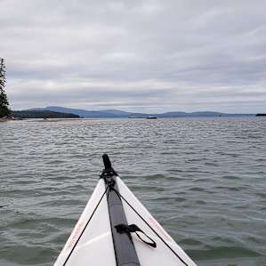 Morning kayak around the bay.