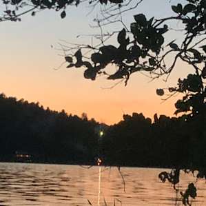 Wooded Tent Camping on Lake