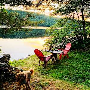 Wooded Tent Camping on Lake