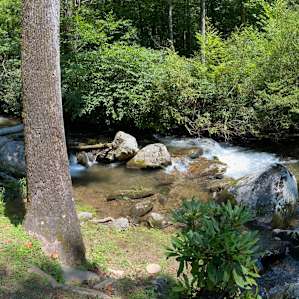 Andy's Camping Area