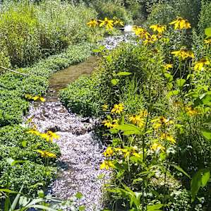 Creek running through the property