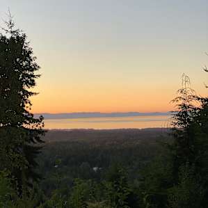 View from fire pit