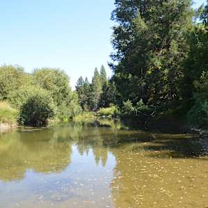 Swimming Hole
