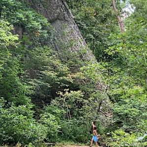 Kings River Falls Camping