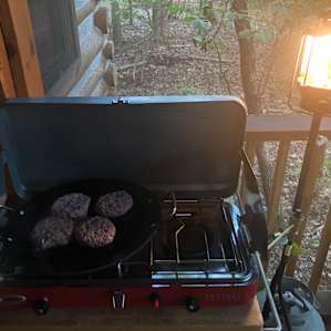 One Forest Cabin Camp