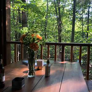 One Forest Cabin Camp