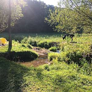 Camping by the creek.