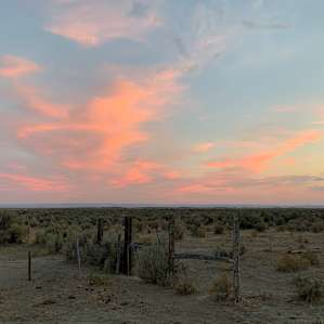 Cotton candy skies