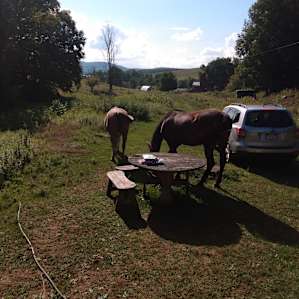Farm Stay in Farmhand Cabin