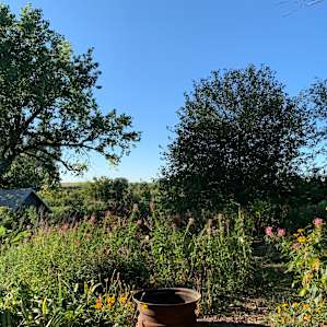 Food Forest Tent Site
