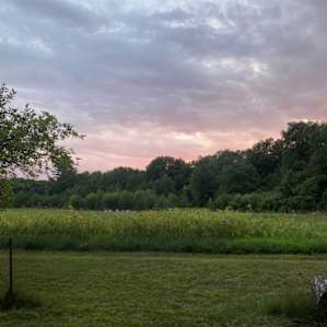 Old Apple Orchard Camp