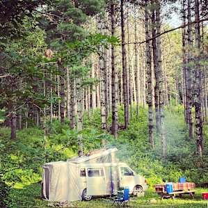 Very private, quiet site among white pines.