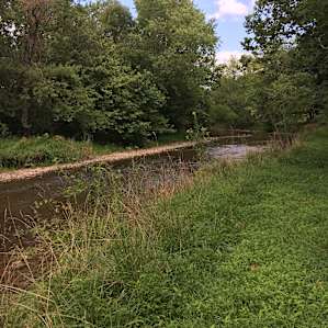 Big Pipe Creekside