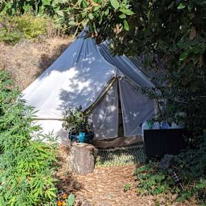 Blue Bell Dream Tent