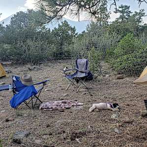 Twin Pines Walk-In Tent Site @ MCR