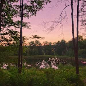 The pond at sunset