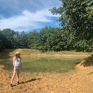 Amazing pond inside the forest