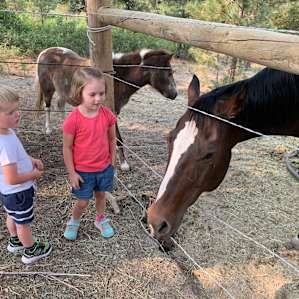 51 Forested Acres w/ Horses