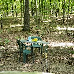 "Mountainside Camp" (Naples, NY)