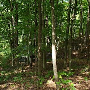 "Mountainside Camp" (Naples, NY)