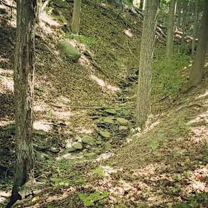 "Mountainside Camp" (Naples, NY)