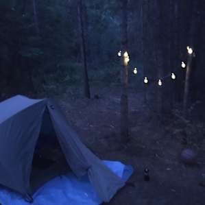 Private and Convenient Forested